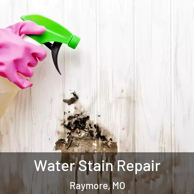  Water Stain Repair Raymore, MO