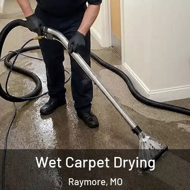  Wet Carpet Drying Raymore, MO
