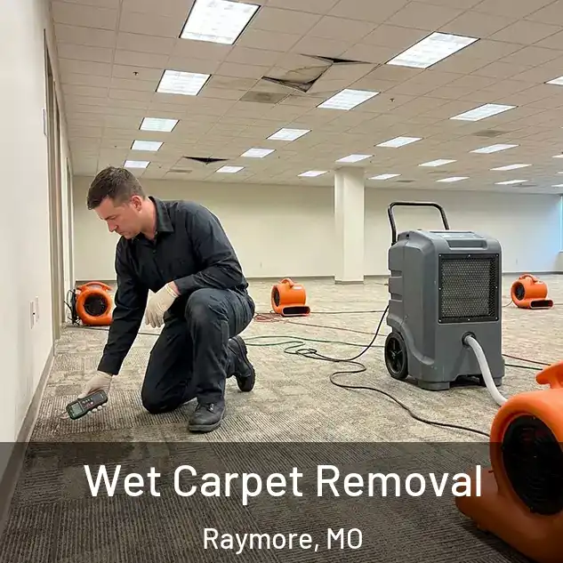  Wet Carpet Removal Raymore, MO